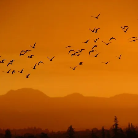 Ferri Peschiera del Garda