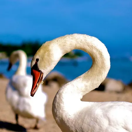 Ferri * Peschiera del Garda